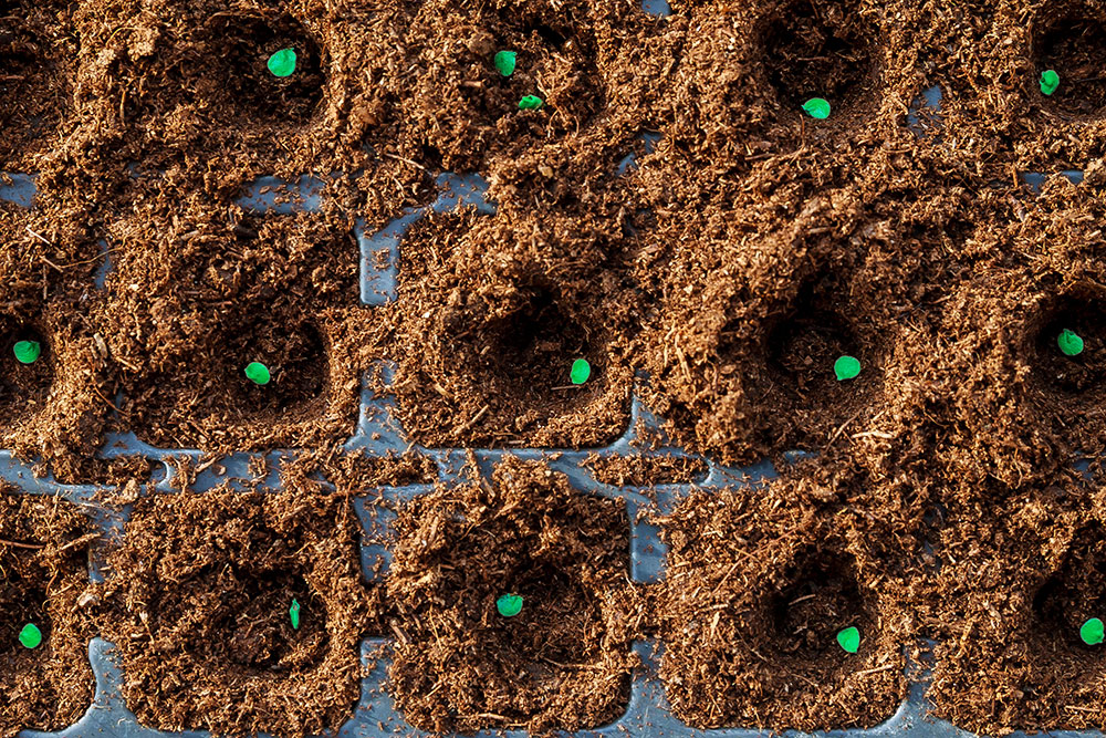 Project Single Image