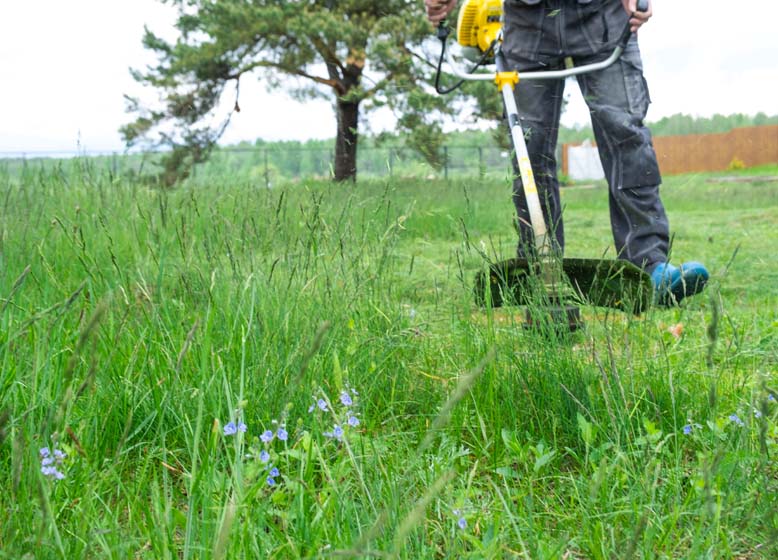man cutting grass