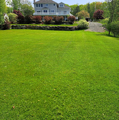 an image of a beautiful lawn 