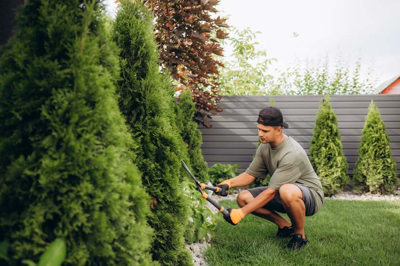 Project Single Image