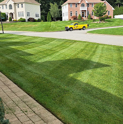an image of a well maintained lawn